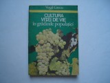 Cultura vitei de vie in gradinile populatiei - Virgil Grecu, 1983, Alta editura