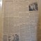 scanteia 23 noiembrie 1955-art. botosani,oradea,odorhei,ploiesti,timisoara,cluj