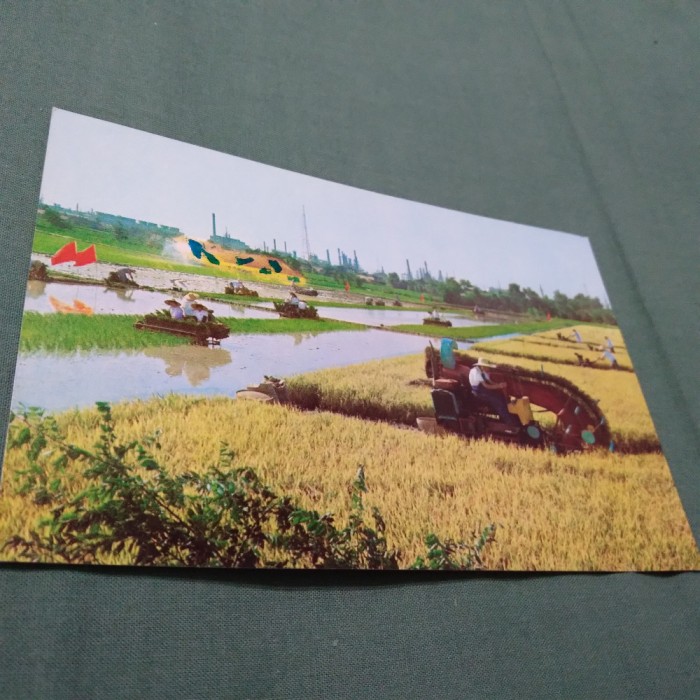 CARTE POSTALA CHINA NECIRCULATA