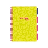 Caiet cu Spirala si Separatoare Strigo Pads Project Book Neon B5, Dictando