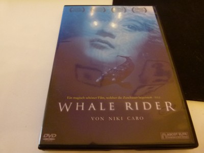 Whale rider foto
