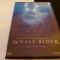 Whale rider