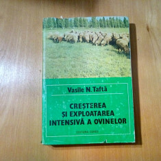 CRESTEREA SI EXPLOATAREA INTENSIVA A OVINELOR - Vasile N. Tafta - 1983, 405 p.