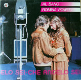 Vinil Al Bano &amp; Romina Power &ndash; Che Angelo Sei (VG+)