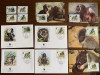 Camerun - maimuta - babuin - serie 4 timbre MNH, 4 FDC, 4 maxime, fauna wwf