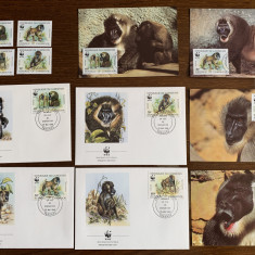 camerun - maimuta - babuin - serie 4 timbre MNH, 4 FDC, 4 maxime, fauna wwf