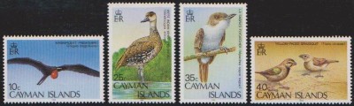CAYMAN - 1986 - PASARI foto