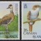 CAYMAN - 1986 - PASARI