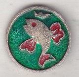 bnk ins URSS - insigna - peste