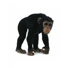 Cimpanzeu Femela - Collecta