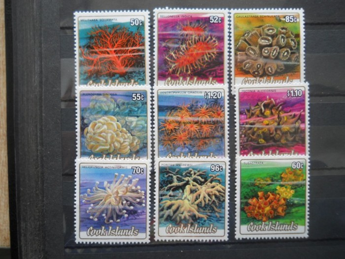 A2 1984 INSULELE COOK