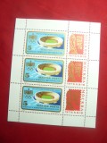 Bloc 1975 Ungaria Targ Filatelic Sozfilex&#039;75 Moscova - Stadionul Olimpic, Nestampilat