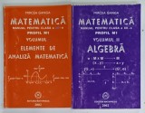 MATEMATICA , MANUAL PENTRU CLASA A XII - A , PROFIL M1 , VOLUMELE I - II de MIRCEA GANGA , 2002