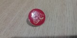 QW9 N5 23 - insigna - tematica sport cluburi sportive - Baschet - Chicago Bulls, America de Nord