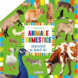 Cumpara ieftin Carte pop-up - animale domestice