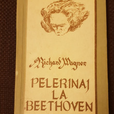 Pelerinaj la Beethoven - Richard Wagner