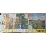 REVISTA APICULTURA IN ROMANIA PE ANUL 1992 NR.1, 2, 3, 4, 5, 6, 7, 8, 9, 11, 12-COLECTIV-236375