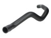 Furtun radiator RENAULT MEGANE III Hatchback (BZ0) (2008 - 2016) THERMOTEC DWR067TT