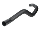 Furtun radiator RENAULT MEGANE III Grandtour (KZ0/1) (2008 - 2016) THERMOTEC DWR067TT