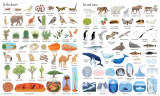 Carte pentru copii - 1000 THINGS IN NATURE