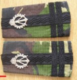 C3 - Grade militare - mozaic padure - locotenent colonel geniu