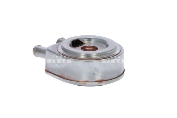 NRF 31248 Radiator ulei, ulei motor