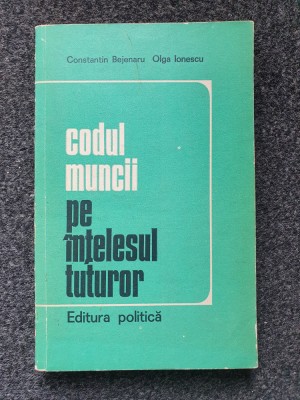CODUL MUNCII PE INTELESUL TUTUROR - Bejenaru, Ionescu foto