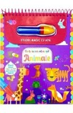 Stiloul magic cu apa. Animale