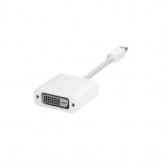 Adaptor Apple miniDisplay port to DVI white foto