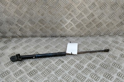 Amortizor capota dreapta față LEXUS GS _L1_ 2014 OEM: 53440-0W251 26305843 foto