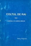Carte Petru Popovici - Coltul de rai sau Caminul in lumina Bibliei