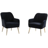 Set de 2 fotolii de living din catifea, Design ergonomic, Negru