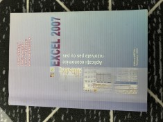 Excel 2007, aplicatii economice rezolvate pas cu pas - Mirton, 2007