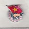 bnk ins Vietnam - insigna Organizatiei tineretului comunist Ho Chi Minh