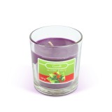 Lumanare parfumata - &quot;winter berry&quot; - 120 g Best CarHome