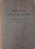 Carte Anatomie des Menschen, Volum 4, Autor Fr. Kopsch, Limba Germană
