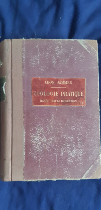 Leon Jammes - Zoologie Pratique