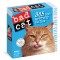 Bad Cat Page-A-Day Calendar 2023