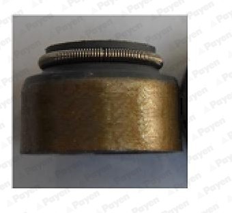 PAYEN PA136 Etansare, supape