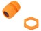 Foto  - 1