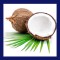 COCOS - Ulei virgin fractionat(capric triglycerides) sticla cu pipeta 100 ml