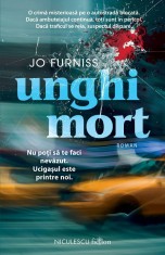 Unghi Mort, Jo Furniss - Editura Niculescu