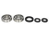 Cumpara ieftin Lagare cu arbore cotit set cu garnituri pentru YAMAHA YZ 250 1998-2000