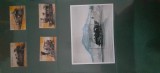 Grenada-Transport,locomotive,trenuri-serie completa si colita,nestampilate MNH (T3)