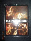 VASILE NICOLESCU - CARAVAGGIO. ALBUM CLASICII PICTURII UNIVERSALE (germana)