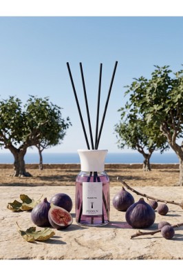 Black Fig Reed Diffuser 110ml foto