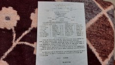 program Victoria Ineu - Victoria Zalau