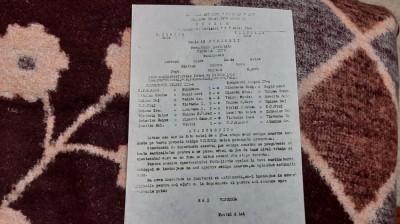 program Victoria Ineu - Victoria Zalau foto
