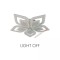 icon 2
