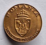 Municipiul TARGOVISTE, insigna stema - heraldica